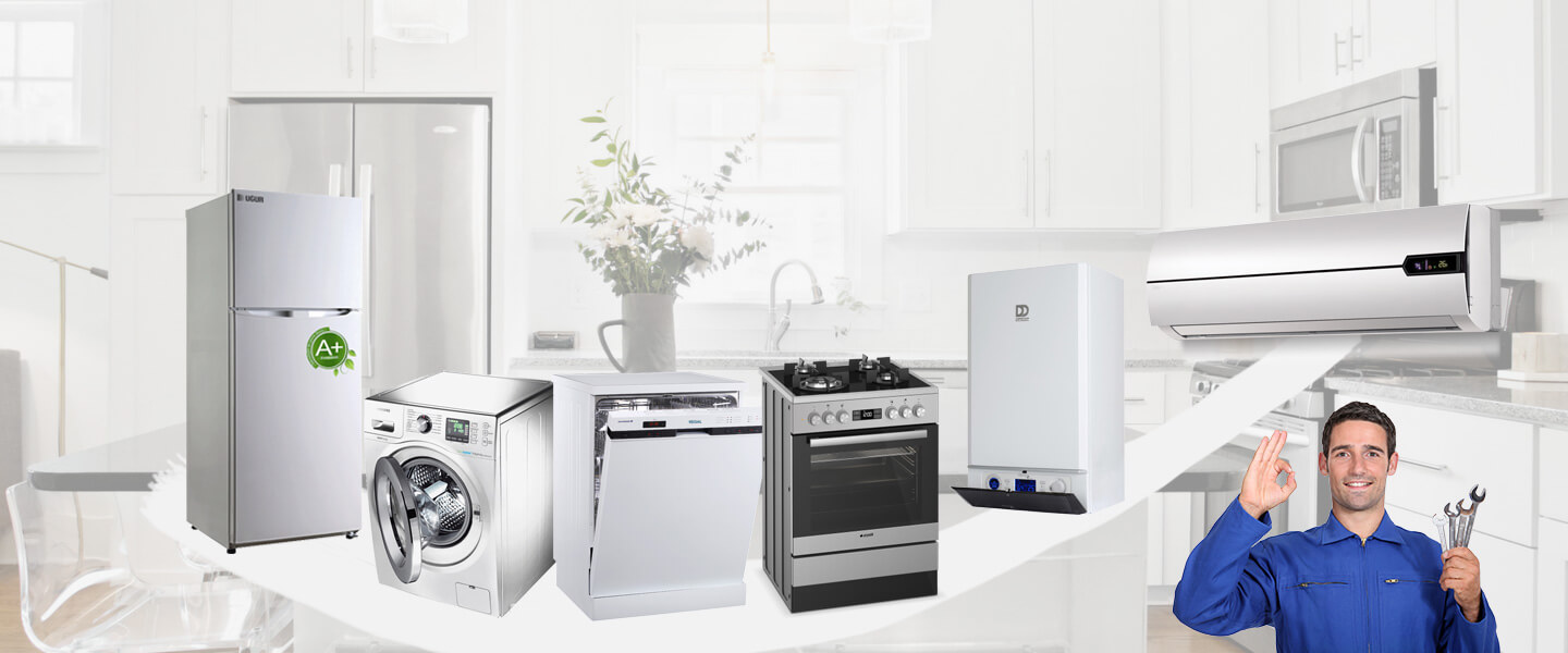 Gülyalı Electrolux Servisi